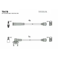 Set cablaj aprindere TESLA T647B
