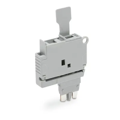 Fuse plug; with pull-tab; for 5 x 20 mm miniature metric fuse; with indicator lamp; 230 V; 6.1 mm wide; gray
