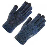 Manusi De Iarna Tactile Iwarm ST0018, Marime 23cm, Albastre