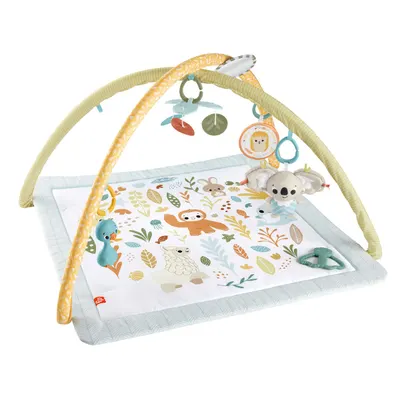 Saltea cu activitati senzoriale, Fisher Price, HRB15