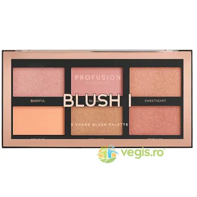 Paleta Farduri de Obraz 6 Nuante Blush I 16g