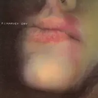 Dry - Vinyl
