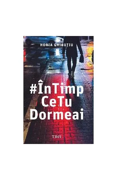 În timp ce tu dormeai - Paperback brosat - Horia Ghibuțiu