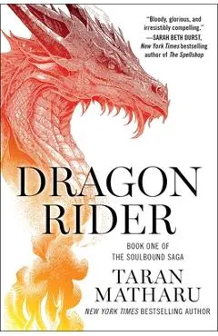 Dragon Rider