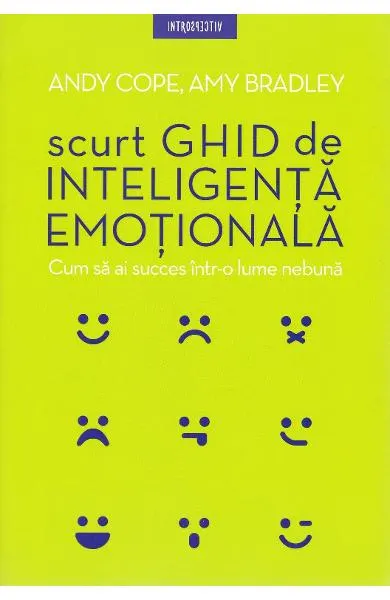 Scurt ghid de inteligenta emotionala