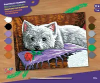 Kit de colorat după număr KSG Crafts - Romeo câinele