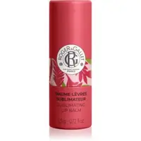 Roger & Gallet Gingembre Rouge Sublimating Lip Balm balsam de buze