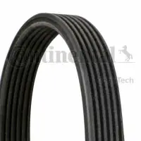 Curea transmisie cu caneluri CONTINENTAL CTAM 6DPK1188