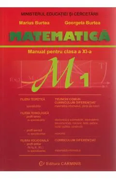 Matematica M1 - Clasa 11 - Manual