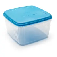 Recipient pentru mâncare cu capac Addis Seal Tight Square Foodsaver, 10 l