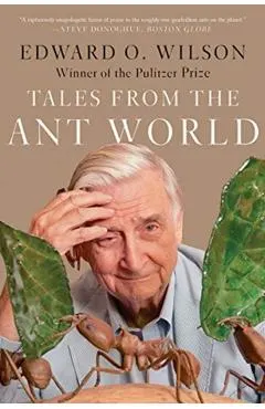Tales from the Ant World