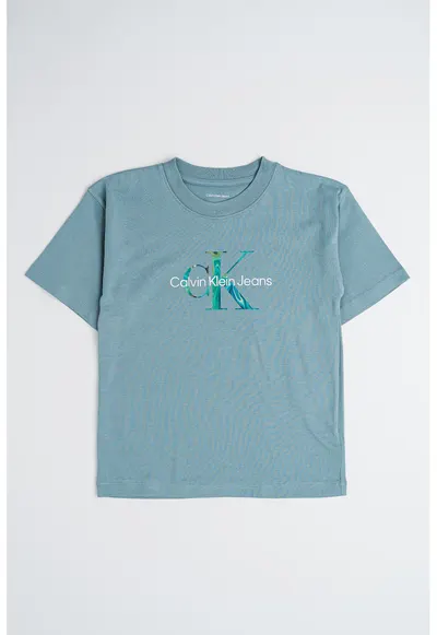 Tricou de bumbac cu logo - Verde/Albastru petrol/Argintiu
