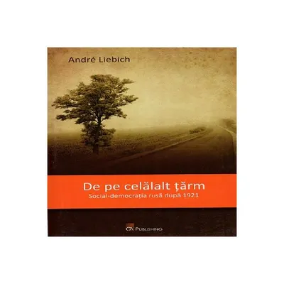 De pe celălalt țărm - Paperback brosat - André Liebich