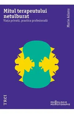 eBook Mitul terapeutului netulburat. Viata privata, practica profesionala