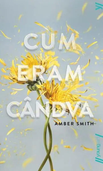 Cum eram cândva - Paperback brosat - Amber Smith
