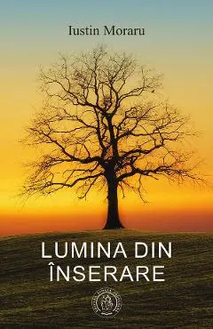 Lumina din inserare