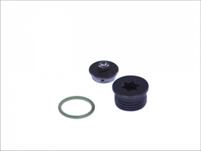 Set reparatie pompa injectie (Potriveste: 0 445 010 098; 0 445 020 008)
