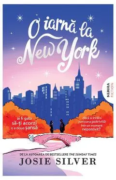 eBook O iarna la New York