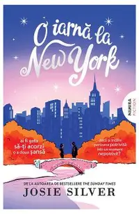 eBook O iarna la New York