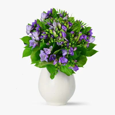 Buchet de 49 frezii mov
