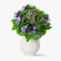 Buchet de 49 frezii mov