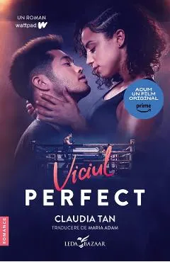 eBook Viciul perfect
