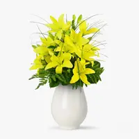Buchet de 15 crini asiatici galbeni
