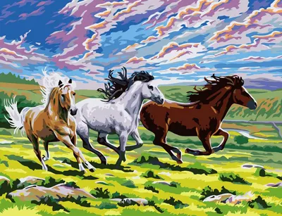 Kit Coloreaza dupa numere Newart - W040, 40 x 50 cm