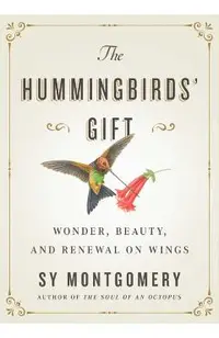 The Hummingbirds' Gift: Wonder, Beauty, and Renewal on Wings