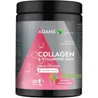 Collagen si Acid Hialuronic Pulbere Instant cu Aroma de Zmeura 600g