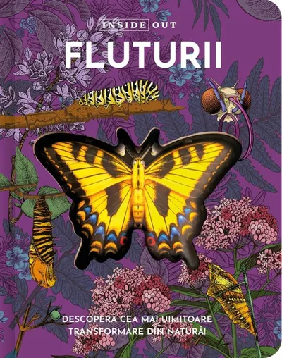 Fluturii, model 3D