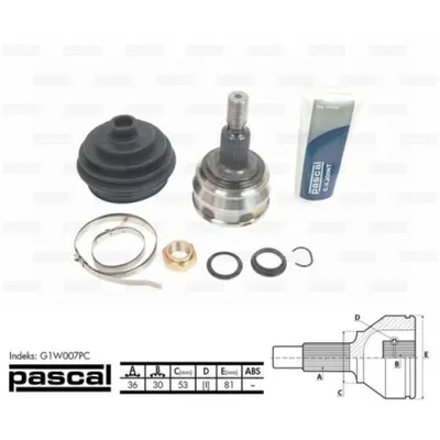 Set articulatie, planetara PASCAL G1W007PC
