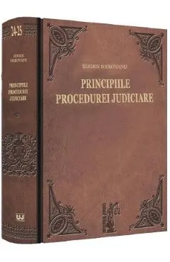 Principiile procedurei judiciare
