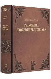 Principiile procedurei judiciare