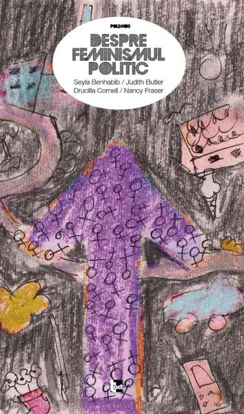 Controverse feministe: Un dialog filosofic - Paperback - Drucilla Cornell, Judith Butler, Nancy Fraser, Seyla Benhabib