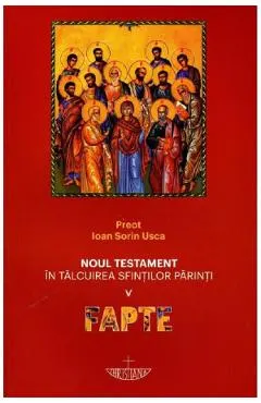 Noul Testament in talcuirea Sfintilor Parinti. Vol.5: Fapte