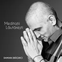 Meditatii Lautaresti - Vinyl