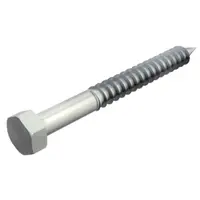 Hexagonal wood screw DIN 571 | Type HHWS 6x60 G