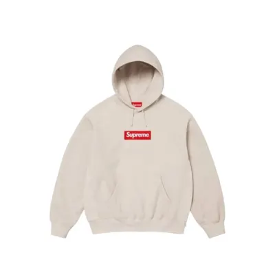 Hoodie Box Logo FW24 Stone
