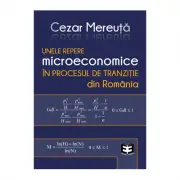 Unele repere microeconomice in procesul de tranzitie din Romania