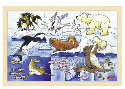 Puzzle din lemn goki - Animale arctice
