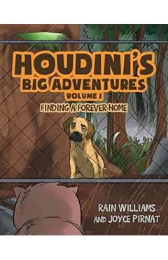 Houdini's Big Adventures: Finding a Forever Home