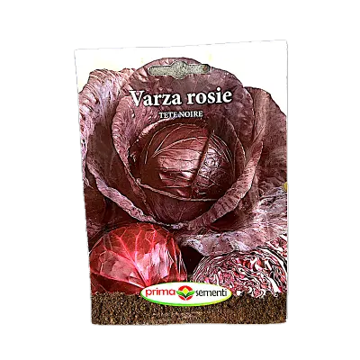 Seminte varza rosie Tete Noire 5 gr, Prima Sementi - Default Title