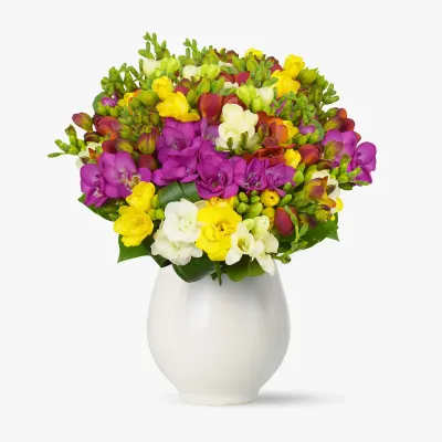 Buchet de 49 frezii multicolore
