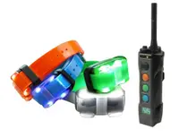 Zgarda electronica pentru dresaj Dogtra 4500 EDGE - 2 câini