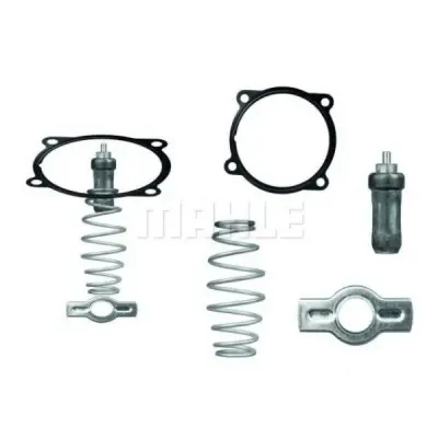 Termostat, lichid racire MAHLE ORIGINAL TX 51 79D