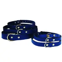 Pet Expert Zgarda Clasic Albastru - nr-2