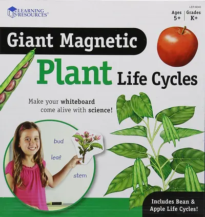 Trusă educațională Learning Resources - Ciclul de viață al plantelor, cu elemente magnetice