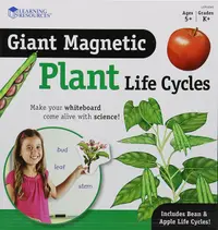 Trusă educațională Learning Resources - Ciclul de viață al plantelor, cu elemente magnetice