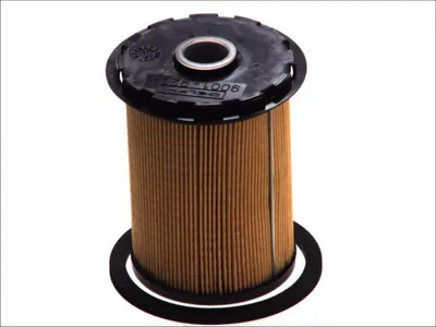 Filtru Combustibil Potrivit Nissan Interstar, Primastar; Opel Movano A, Vivaro A; Renault Master Ii, Master Pro, Trafic Ii 1.9d-3.0d 09.00